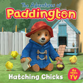 Hatching Chicks - 3 Mar 2022