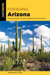 Foraging Arizona - 1 Nov 2020