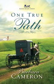 One True Path - 3 Feb 2015