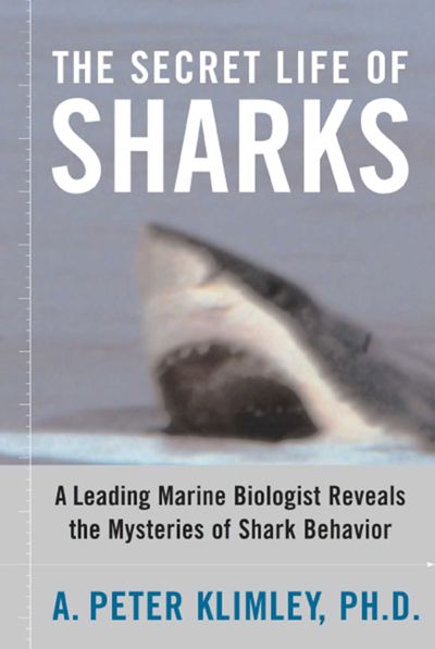 The Secret Life of Sharks