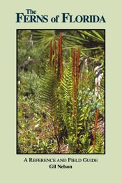 Ferns of Florida - 1 Jan 2017