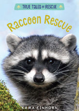 Raccoon Rescue - 9 Apr 2019