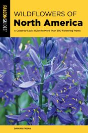 Wildflowers of North America - 15 Mar 2022