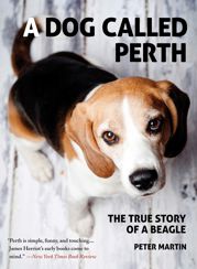 A Dog Called Perth - 4 Mar 2014