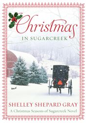 Christmas in Sugarcreek - 25 Oct 2011