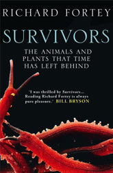 Survivors - 1 Sep 2011