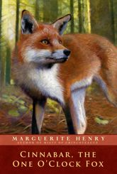 Cinnabar, the One O'Clock Fox - 22 Jul 2014