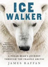 Ice Walker - 13 Oct 2020