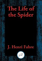 The Life of the Spider - 24 Aug 2016