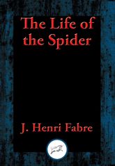 The Life of the Spider - 24 Aug 2016