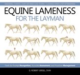 Equine Lameness for the Layman - 8 Feb 2019