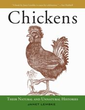 Chickens - 1 Nov 2012