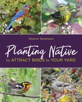 Planting Native to Attract Birds to Your Yard - 1 Aug 2018