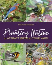 Planting Native to Attract Birds to Your Yard - 1 Aug 2018