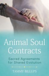 Animal Soul Contracts - 7 Apr 2020