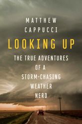 Looking Up - 2 Aug 2022