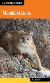 Mountain Lions - 1 Oct 2015