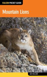 Mountain Lions - 1 Oct 2015