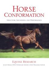 Horse Conformation - 12 Sep 2023