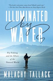 Illuminated by Water - 2 Aug 2022