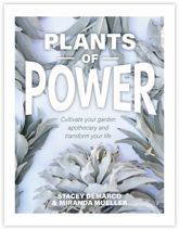 Plants of Power - 4 Dec 2021