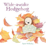 Wide-awake Hedgehog - 4 Nov 2020