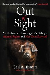 Out of Sight - 6 May 2025