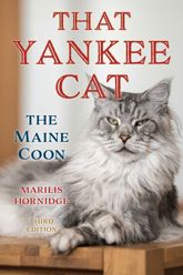 That Yankee Cat - 2 Jan 2024