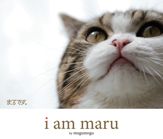 I Am Maru - 15 Nov 2011