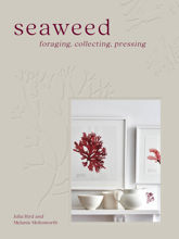 Seaweed - 3 Aug 2023