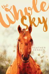The Whole Sky - 22 Aug 2017