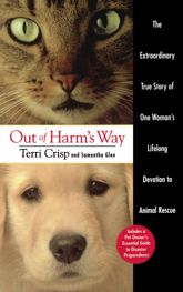 Out of Harm's Way - 1 Apr 1997