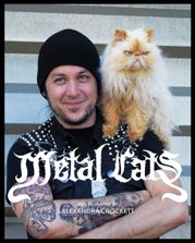 Metal Cats - 13 May 2014