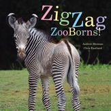 ZigZag ZooBorns! - 17 Oct 2017