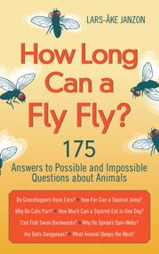 How Long Can a Fly Fly? - 13 Nov 2012