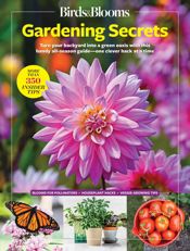 Birds & Blooms Gardening Secrets - 3 Feb 2026