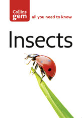 Insects - 12 Apr 2012
