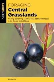 Foraging Central Grasslands - 1 Aug 2023