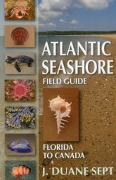 Atlantic Seashore Field Guide - 1 Mar 2016