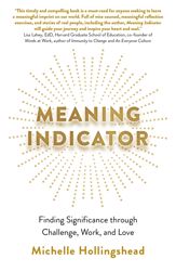 Meaning Indicator - 31 May 2024