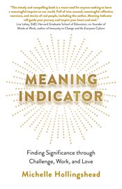 Meaning Indicator - 31 May 2024