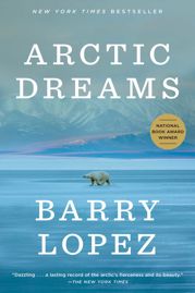 Arctic Dreams - 23 Jul 2024