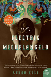 The Electric Michelangelo - 4 Jul 2017