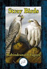 Stray Birds - 6 Jan 2017