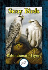 Stray Birds - 6 Jan 2017