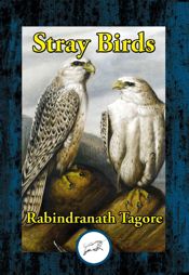 Stray Birds - 6 Jan 2017