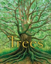 Trees - 2 Nov 2021