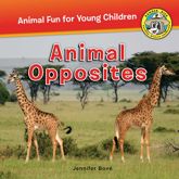 Animal Opposites - 1 Jul 2017