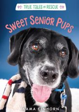 Sweet Senior Pups - 20 Nov 2018
