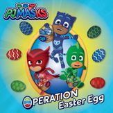 Operation Easter Egg - 28 Jan 2020